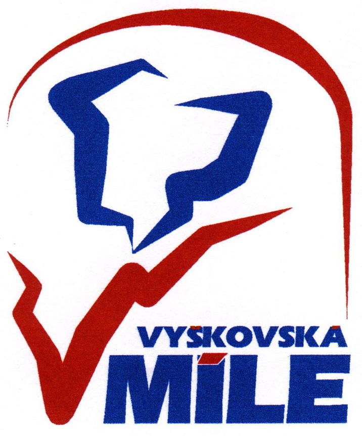 VM logo.jpg